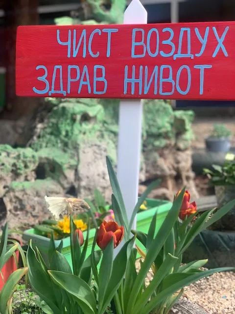 Донација од Лајонс клуб ,,Светлина,, за нашата еко училница